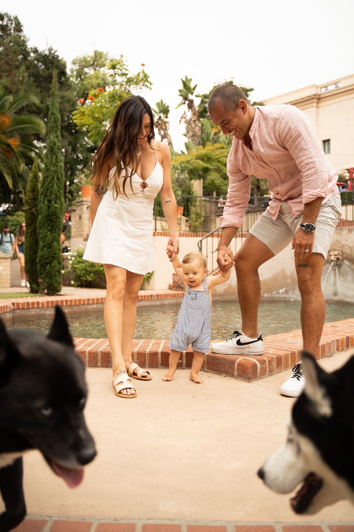a Man and a Woman holding on to babys hands. two dogs infront of camera.